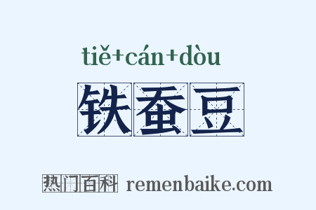 铁蚕豆是什么意思的图片